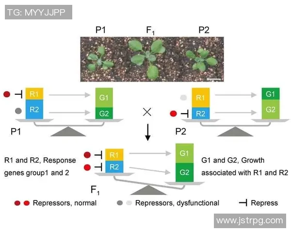 重庆足球队技术表现分析:数据揭示战术优势与不足之处 重庆足球队技术表现分析:数据揭示战术优势与不足之处